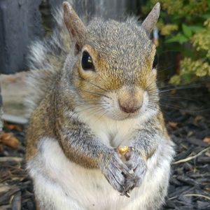 Meet your Posher, Post